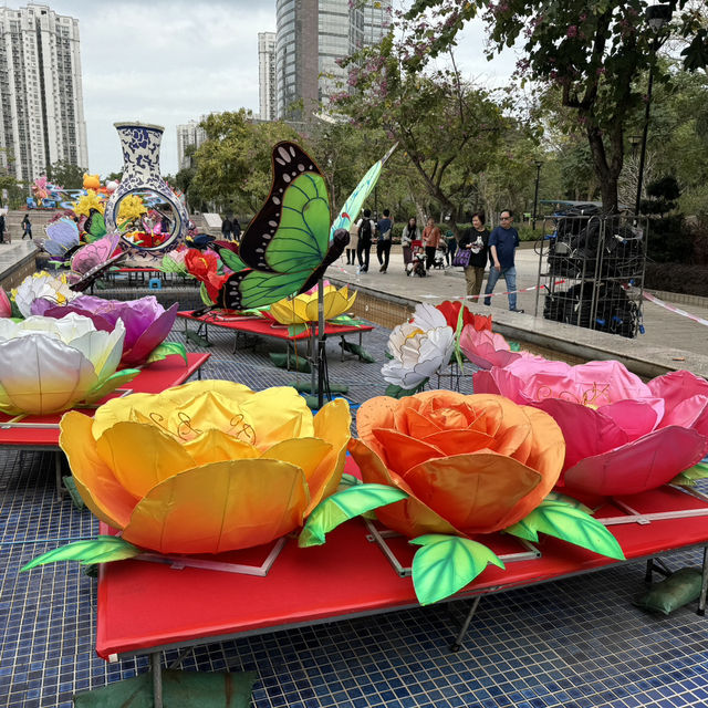 🌸 探索天水圍的櫻花之旅：感受春天的魅力 🌼