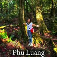ที่เที่ยวภูหลวง