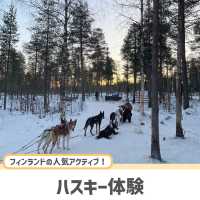 【フィンランド】冬のラップランドでする夢の犬ぞり体験🐕🛷❄️