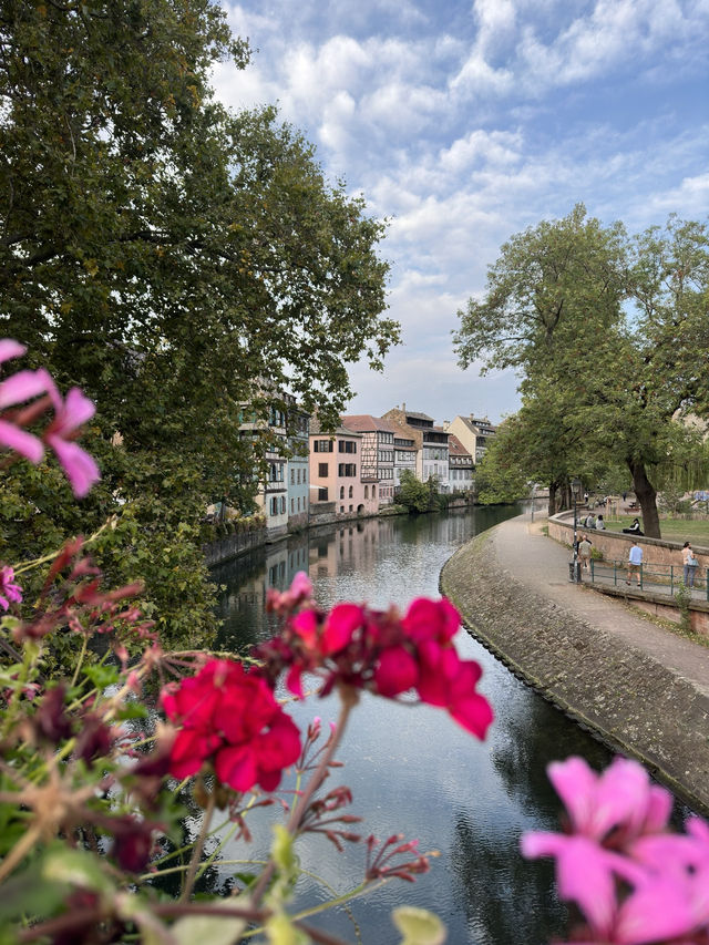Step into a Fairytale in the Charming Town of Colmar, France