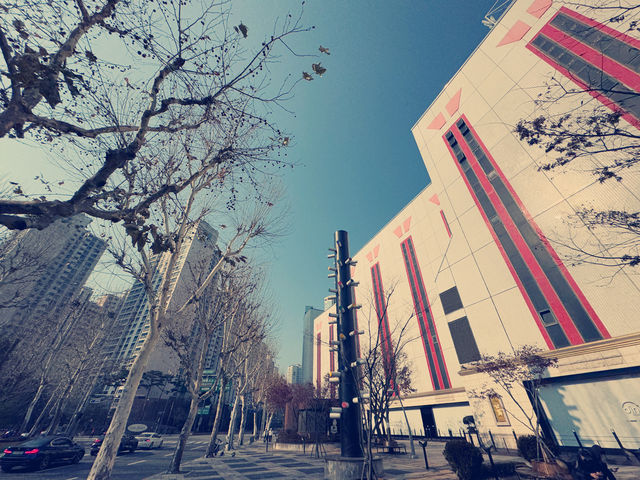 在樂天世界塔的奇幻之旅：感動與驚喜並存 🌟🏙️