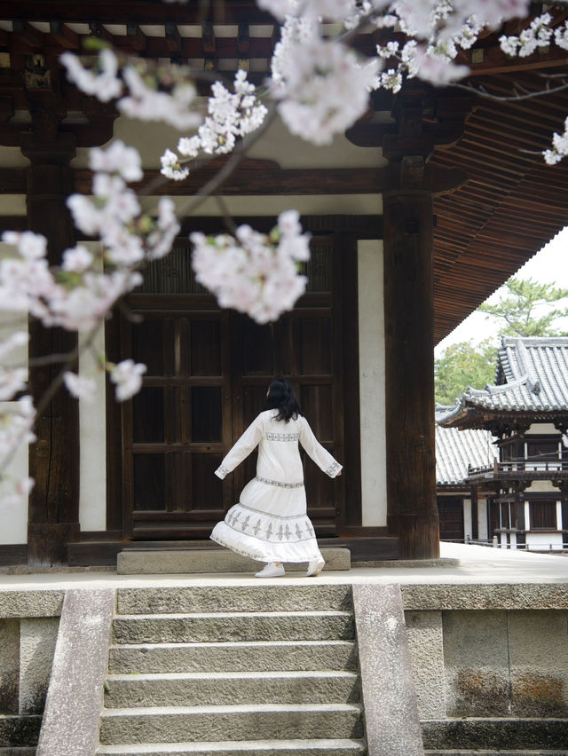 《奈良》春の古都に今年訪れてみてはいかが？