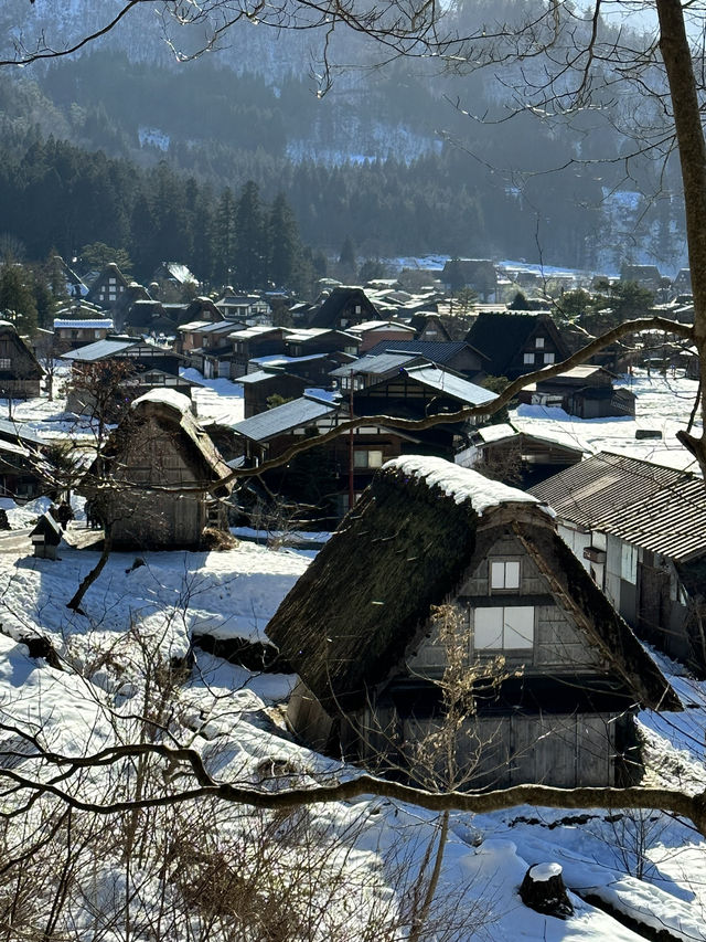 【飛騨高山×白川郷】世界遺産白川郷合掌集落が一望できるスポット