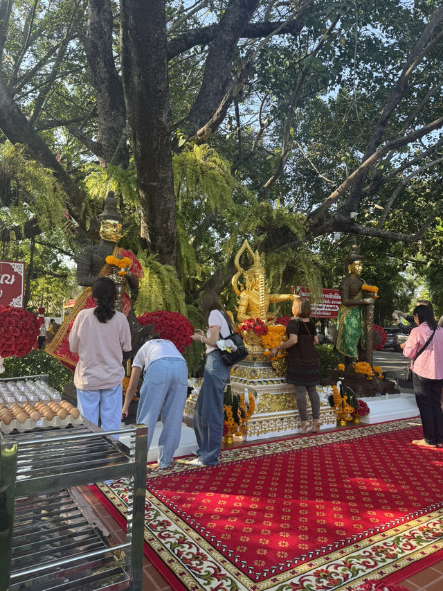 มูใฟ้สุดหยุดที่รวย วัดทุ่งอ้อ เชียงใหม่