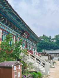 광릉수목원길 & 봉선사 산책 코스 