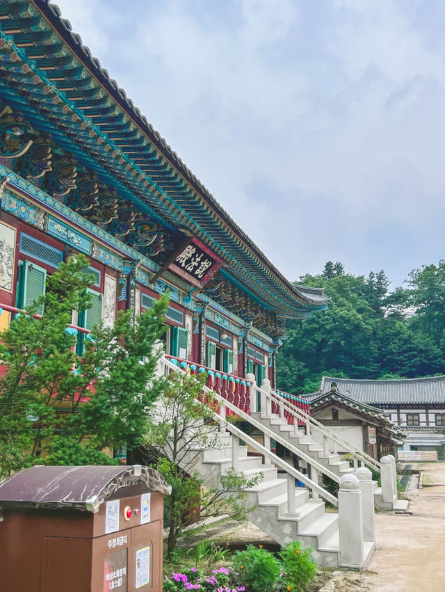 광릉수목원길 & 봉선사 산책 코스 