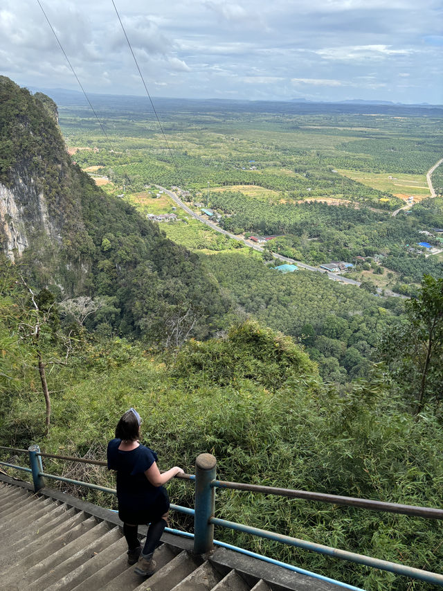 No chill to hike up to this top!!🔝 🐯🐅