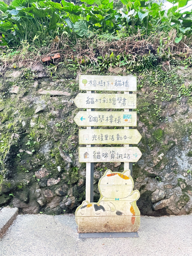 Houlong Cat Village หมู่บ้านที่ทาสแมวต้องหลงรัก 💖