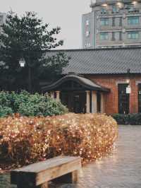 元宵限定！台北 西本願寺的祈福燈林必拍亮點 