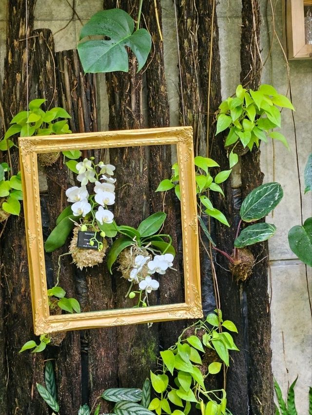 【熱帯の植物が一年中楽しめる】