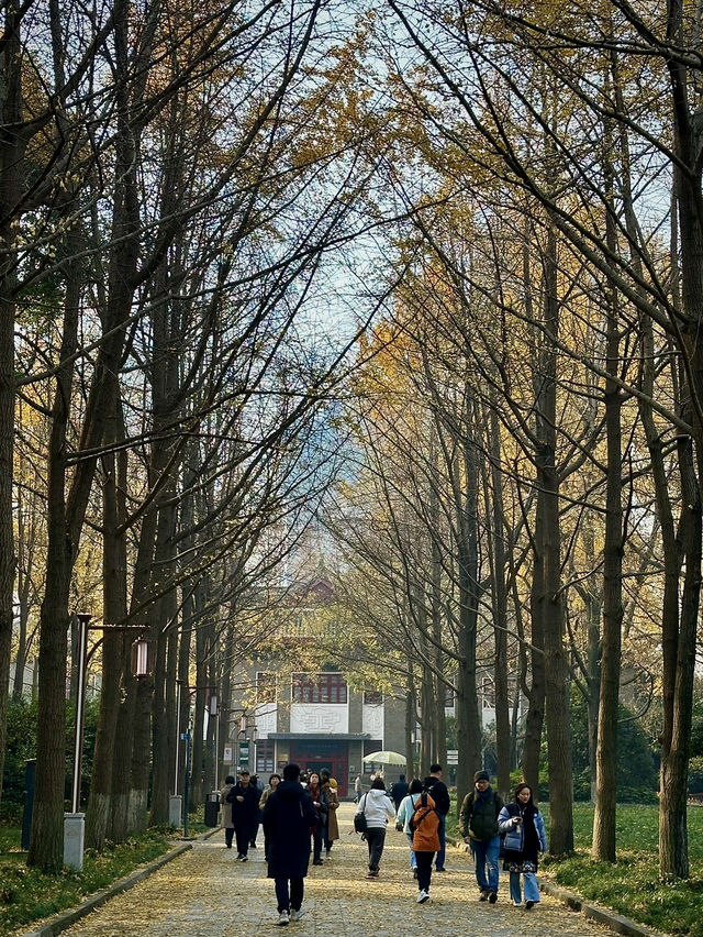 มากกว่า🏞️สวนสาธารณะแห่งแรกกลางเมืองเฉินตู
