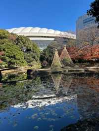 飯田橋「小石川後樂園」賞楓