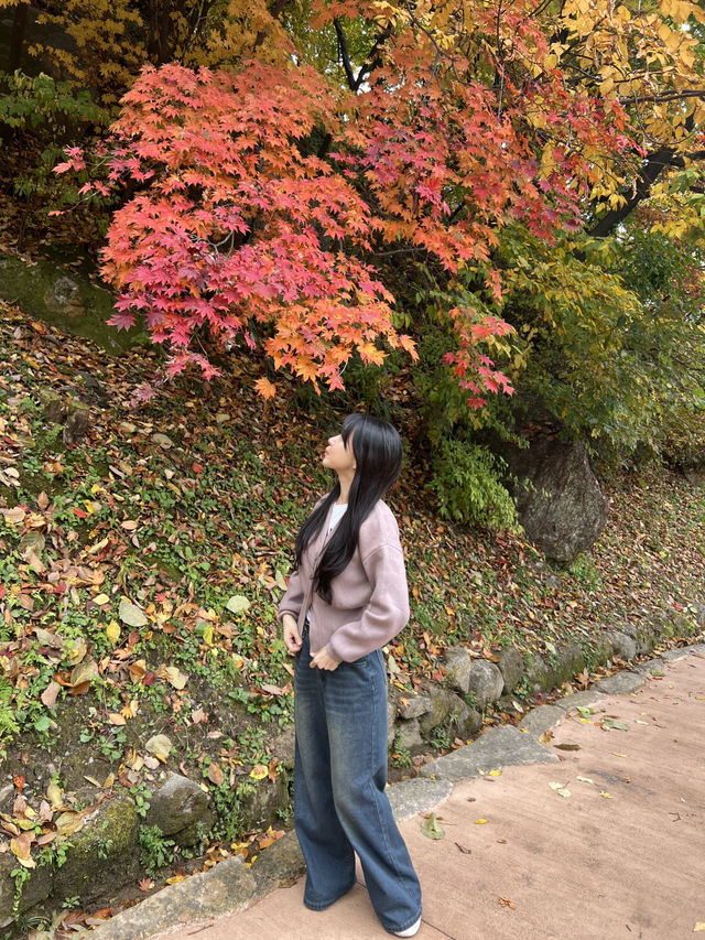 우리나라 최초의 목조건물 천년고찰 부석사!
