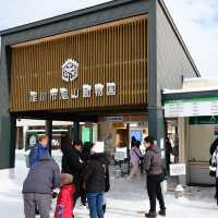 🇯🇵Asahiyama zoo