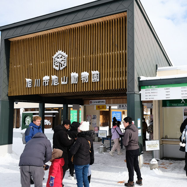 🇯🇵Asahiyama zoo
