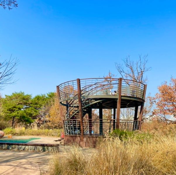 산책하기 좋은 서울공원 3곳 🌳