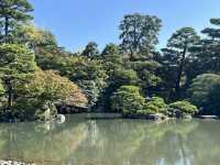 A Royal Escape: Discovering the Tranquil Kyoto Imperial Palace