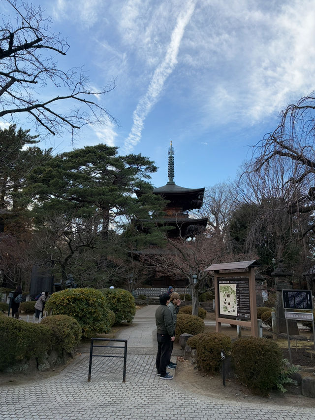 Gotokuji Temple 😸 วัดแมวกวักนำโชคในโตเกียว