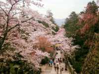日本四國的能量景點：1368石階的「金刀比羅宮」