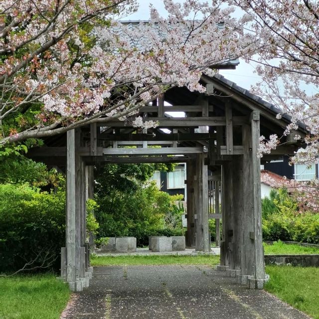 能古島：花海裡藏著時光膠囊