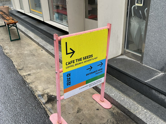 도심 속 따뜻한 카페, 더시즈