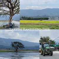 冬日田野漫遊-靜謐又美的旅程