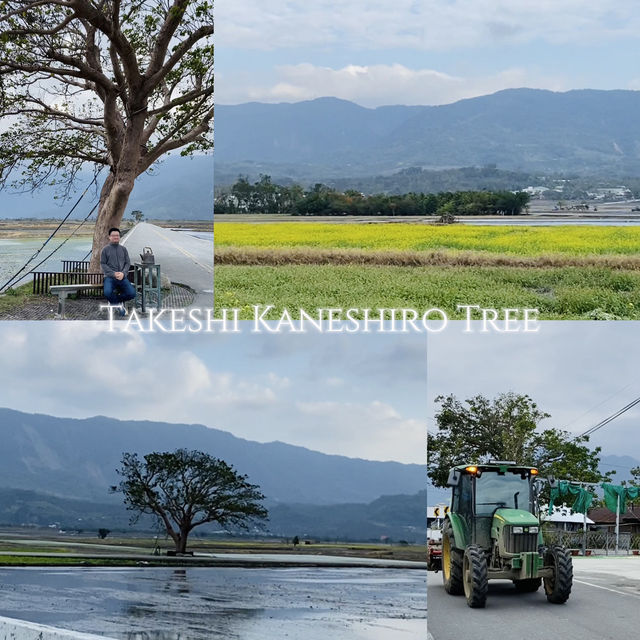 冬日田野漫遊-靜謐又美的旅程