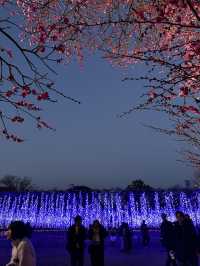 東京兩毛線小山站與足利花卉公園之旅 🌸