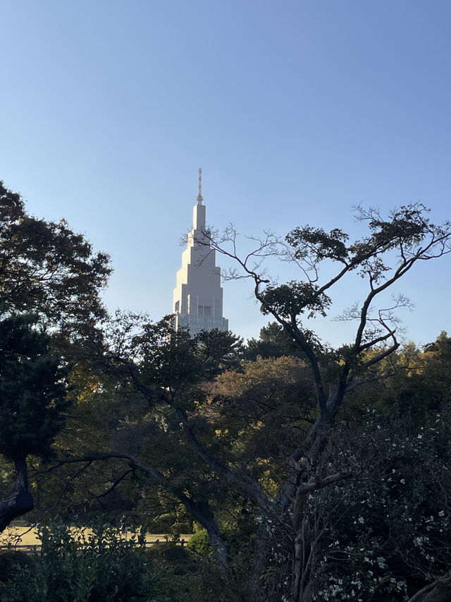 富士深度遊Day6