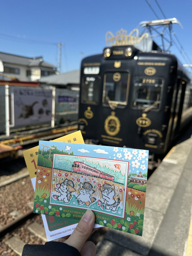 和歌山——小玉電車