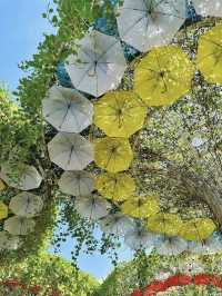 Dubai Miracle Garden: A Floral Wonderland in the Desert