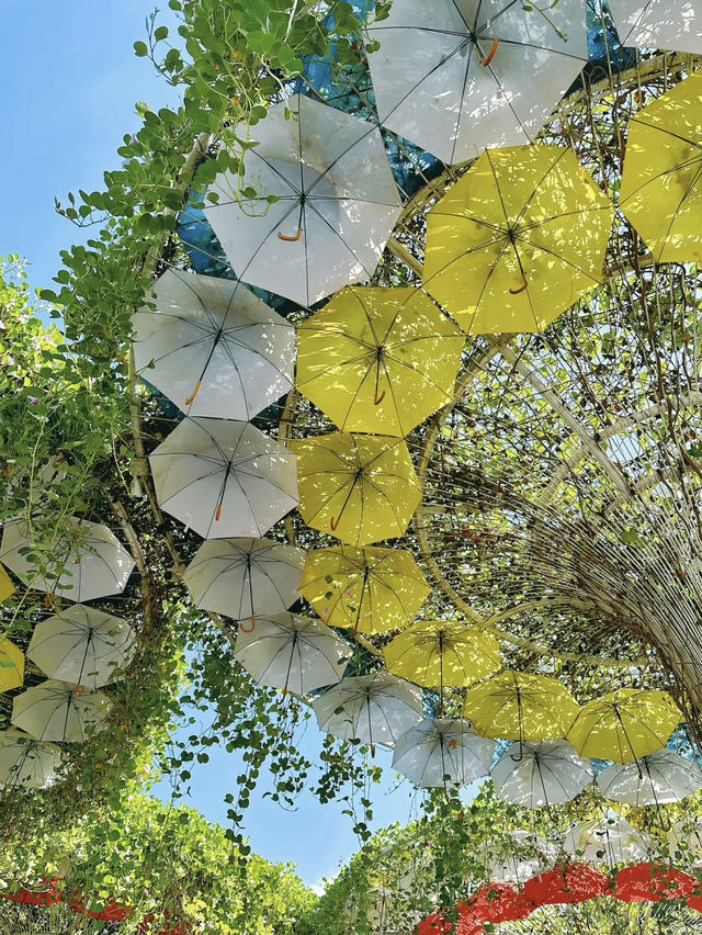 Dubai Miracle Garden: A Floral Wonderland in the Desert