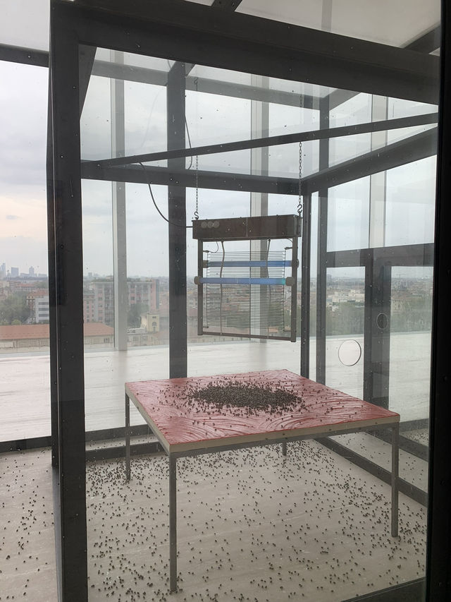 밀라노 가면 꼭 들려야 할곳! 프라다 재단에서 운영하는 밀라노 폰다지오네 프라다 뮤지엄!