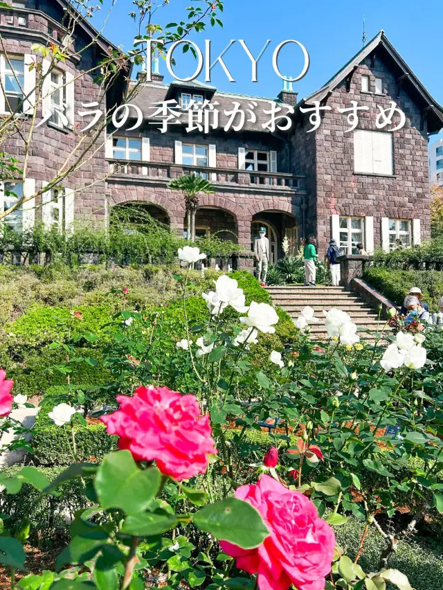 推薦在玫瑰季節前往！舊古河庭園