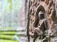 Where Nature and History Intertwine: Ta Prohm Temple 