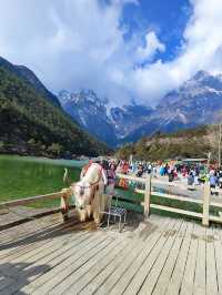 Exploring the Majestic Yulong Snow Mountain