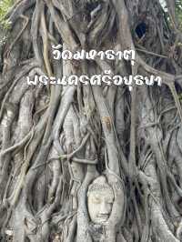 วัดมหาธาตุ อยุธยา – มรดกแห่งความขลังที่ห้ามพลาด