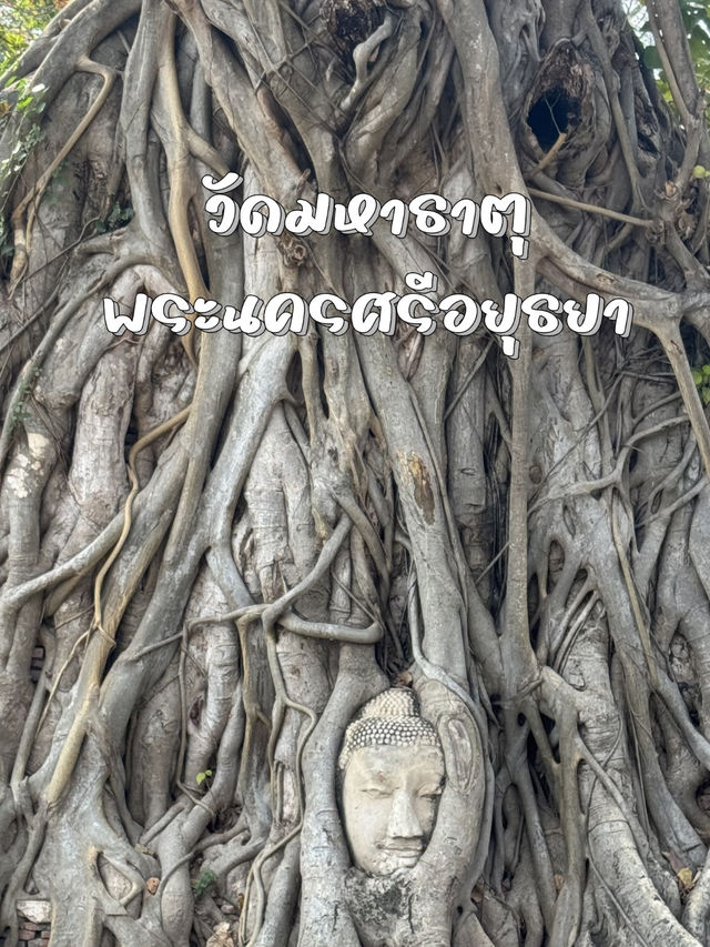 วัดมหาธาตุ อยุธยา – มรดกแห่งความขลังที่ห้ามพลาด