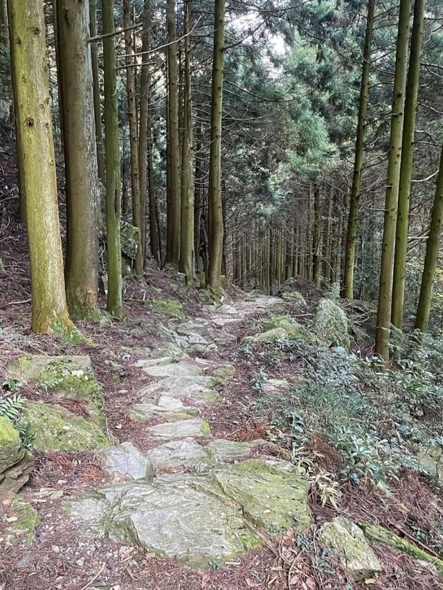 一見の価値あり！