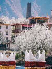 Historical in Perfect Blend of Cultural Village