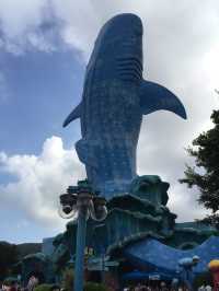 珠海長隆海洋王國：與海洋生物的難忘相遇🏖️🐬