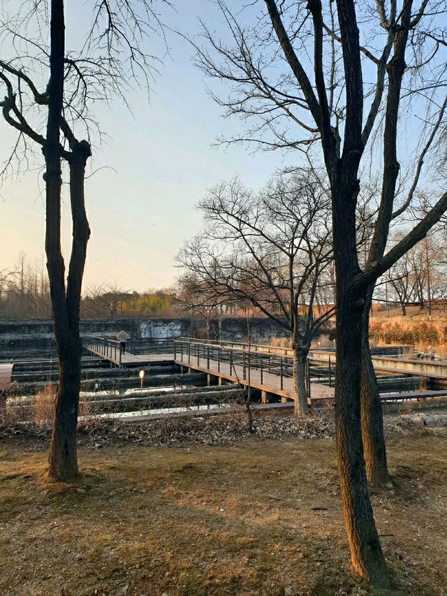 계절을 기억하는 방법, 서울 선유도공원