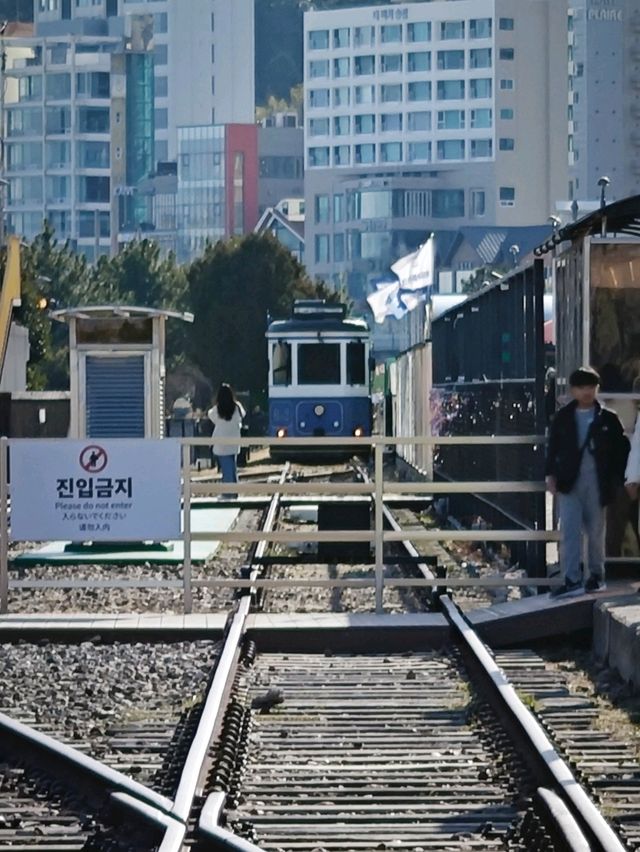 韓國海雲台 海岸列車之旅