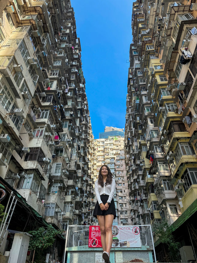홍콩여행간다면 꼭 해야할 것✨