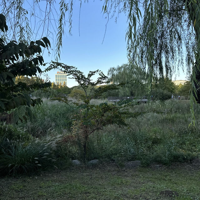 【ソウル】🇰🇷 ボラメ公園