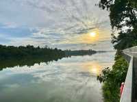 "Mandai Boardwalk: A Tranquil Gateway to Singapore’s Wild Side"