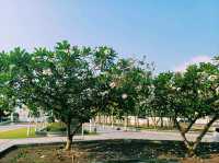 泰國曼谷湄南河畔鮮花市場雕像公園古跡寺廟一日遊行程，適合打卡拍照📸