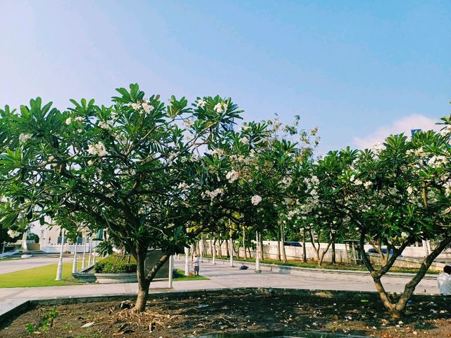 泰國曼谷湄南河畔鮮花市場雕像公園古跡寺廟一日遊行程，適合打卡拍照📸