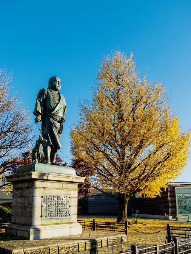 東京-上野公園走走