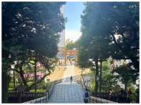 【栃木/宇都宮】餃子のおみくじが可愛すぎる‼︎＊二荒山（ふたあらやま）神社＊